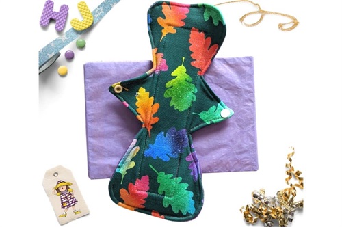 Buy  9 inch Cloth Pad Rainbow Leaves now using this page